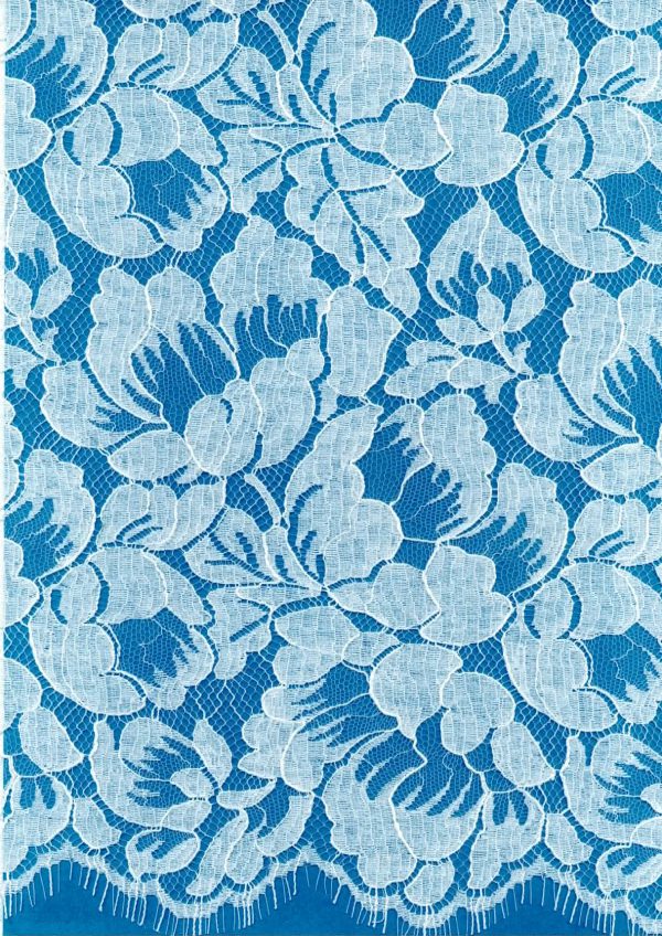DENTELLE DE CALAIS-CAUDRY®:100.913