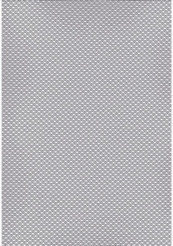 Fancy tulle: 101.356